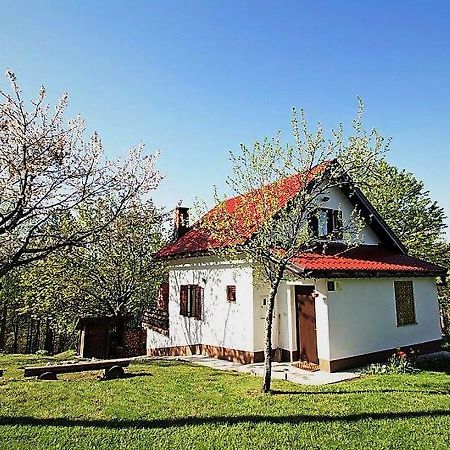 Holiday Home Coprnicka Hisa Skrad 外观 照片