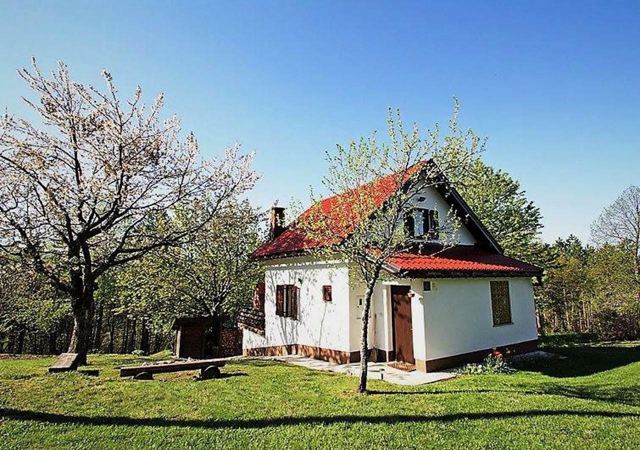 Holiday Home Coprnicka Hisa Skrad 外观 照片