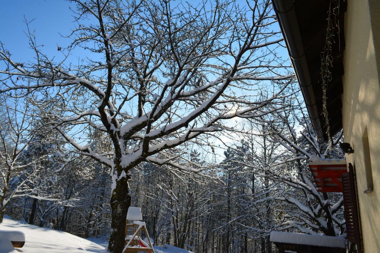 Holiday Home Coprnicka Hisa Skrad 外观 照片